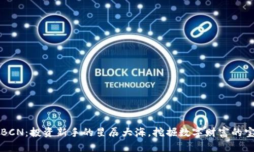 虚拟币BCN：投资新手的星辰大海，挖掘数字财富的宝藏之路