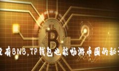 没有BNB，TP钱包也能畅游币