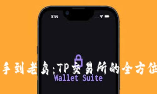 从新手到老鸟：TP交易所的全方位指南