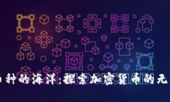 虚拟币种的海洋：探索加