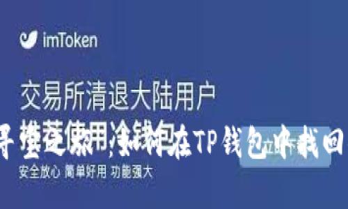 丢失资产的“寻宝之旅”：如何在TP钱包中找回你的虚拟财富