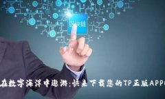 “在数字海洋中遨游：快