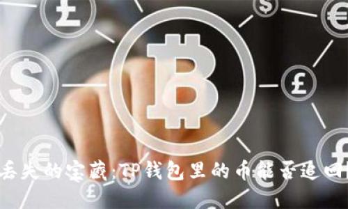 丢失的宝藏：TP钱包里的币能否追回？