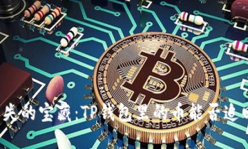 丢失的宝藏：TP钱包里的币能否追回？