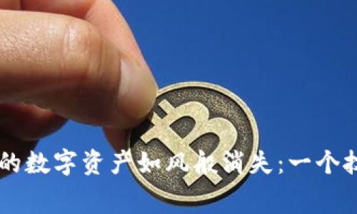当你的TP钱包里的数字资产如风般消失：一个技术与安全的寓言