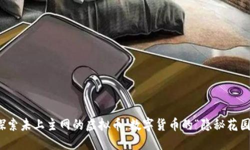 探索未上主网的虚拟币：数字货币的“隐秘花园”