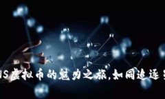 “因变量币：BNS虚拟币的魅力之旅，如同追逐星